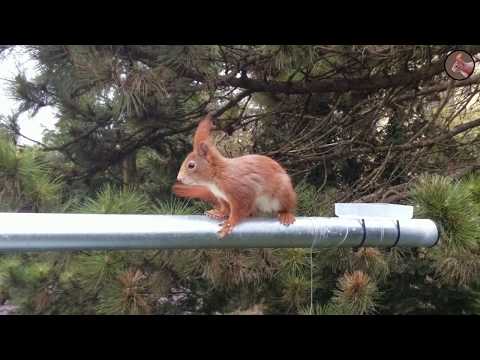 Oachkatzlcam am 2017 04 14 08 58 40