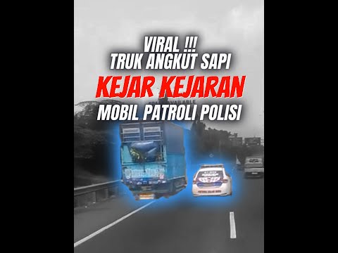 Viral Truk Angkut Sapi Kejar kejaran dengan Mobil Polisi