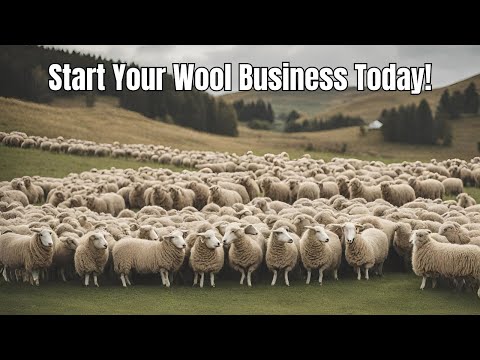 How to make money with Sheep's Wool