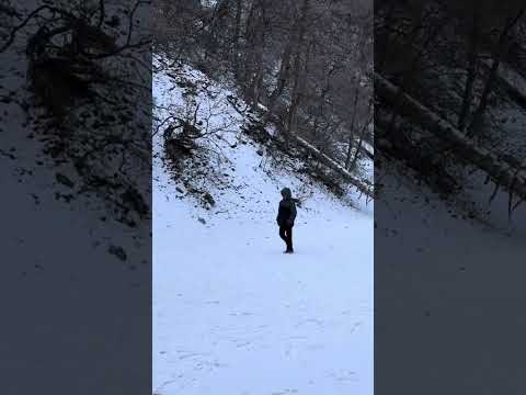 Deekshitha and Bhargava's first hike in 2025 was to Battle Creek Falls