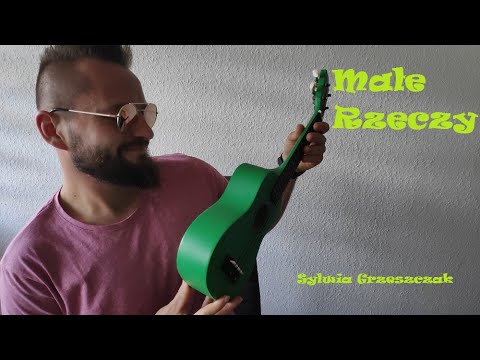 Sylwia Grzeszczak - Małe rzeczy (ukulele cover)