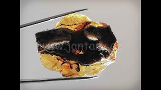 Okno do křídového jantaru BO-23