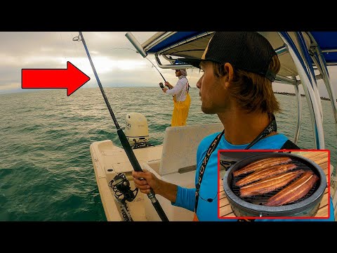 Mackerel Madness! - Commercial Fishing Trip