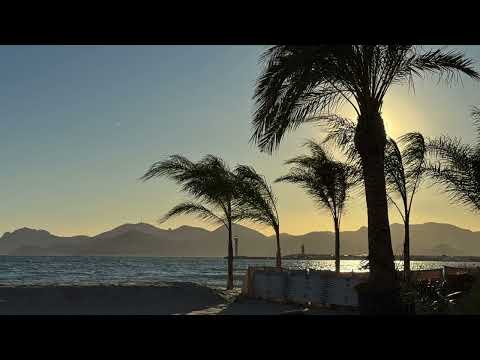 image : Cannes, tout un festival !