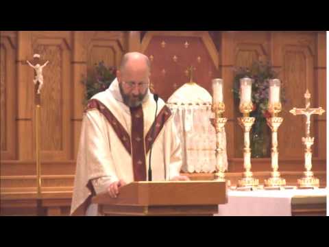 Sep 17 - Homily: Stigmata of St. Francis, Seal of Devotion