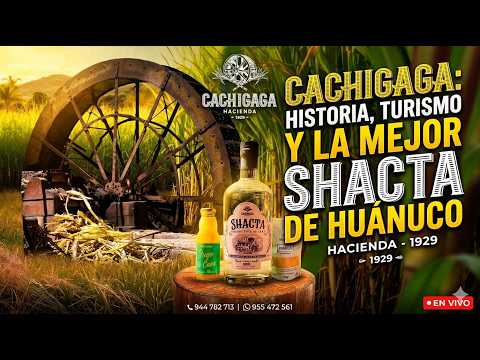 Cachigaga: Historia, turismo y la mejor Shacta de Huánuco / VIAJEROS PERÚ PODCAST