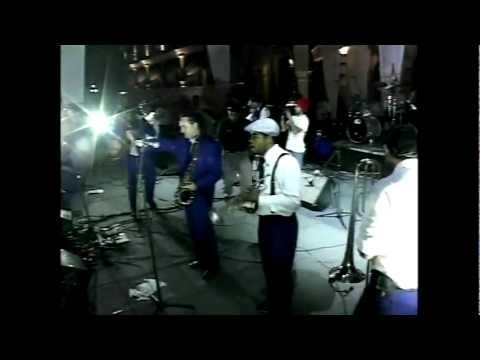 Desorden Publico - Alla Cayo "Festival Ollin Kan"