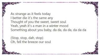 Lambchop - What Else Could It Be Lyrics