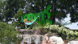 Portofelice 2005 - track 06 - La Banda del Diablo - Agadoo (with lyrics)