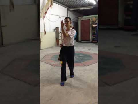 Dai Fa  Big Flower Fist part 3