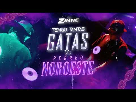 🔥MEGA TENGO GATAS VS PERREO NOROESTE🔥 DJ ZINNE