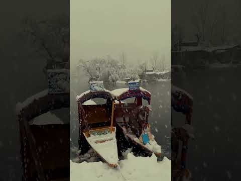 nature of kashmir #kashmir #nature