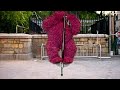 Elmo S World Quizzes Balls