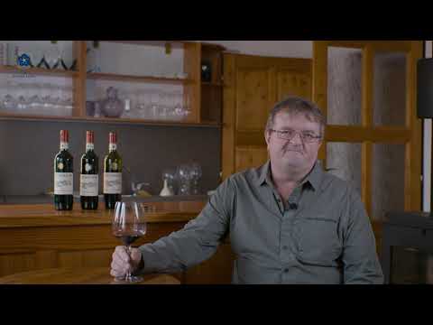 Vinný sklep u Sedláčků - Vrbice (okres Břeclav) 4
