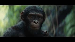 🦍磅礡最終章《猩球崛起：王國誕生》前導預告_2024年 重磅回歸大銀幕