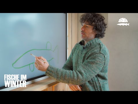 Was Du für das ANGELN im WINTER wissen musst!