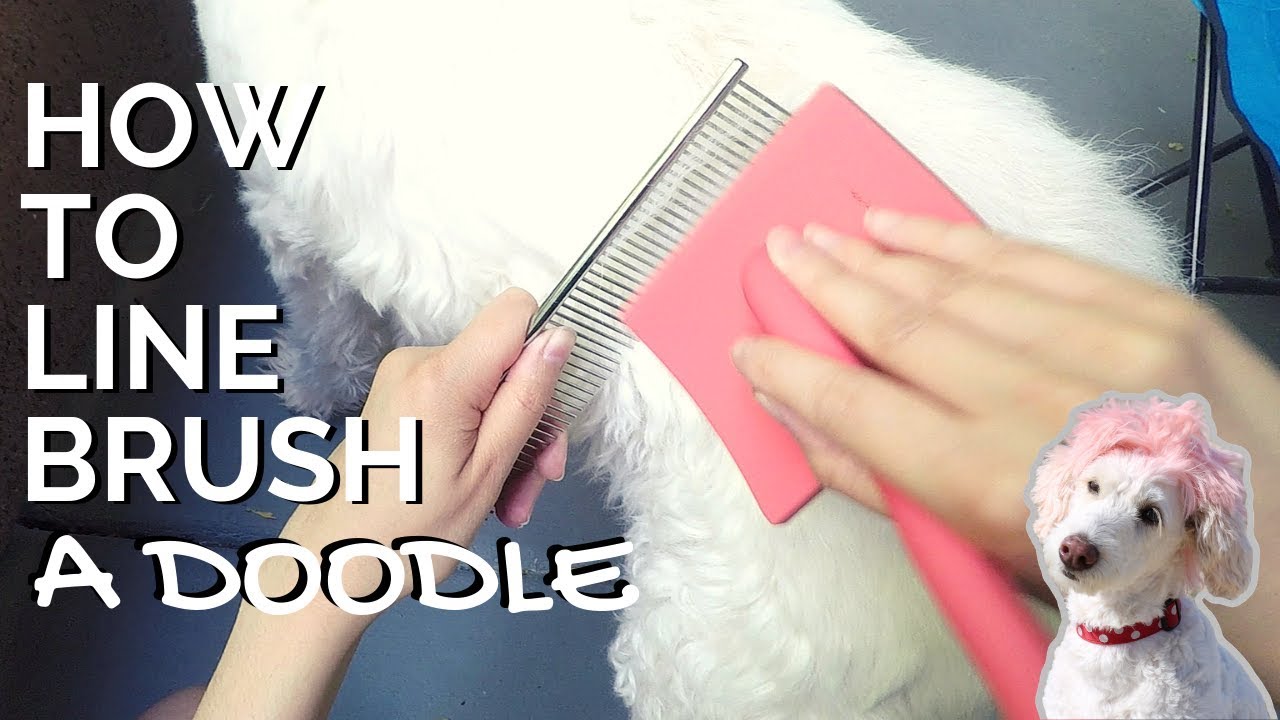 Line Brushing Tutorial for Doodles