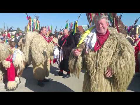 PUSTNA POVORKA VIDEM PRI PTUJU 2025