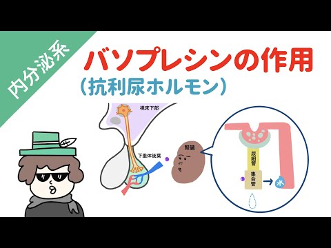 フマル酸ジメチルについて詳しく解説