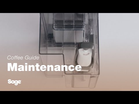 The Dual Boiler™ | Replacing the water filter: Our 6-step guide | Sage Appliances UK