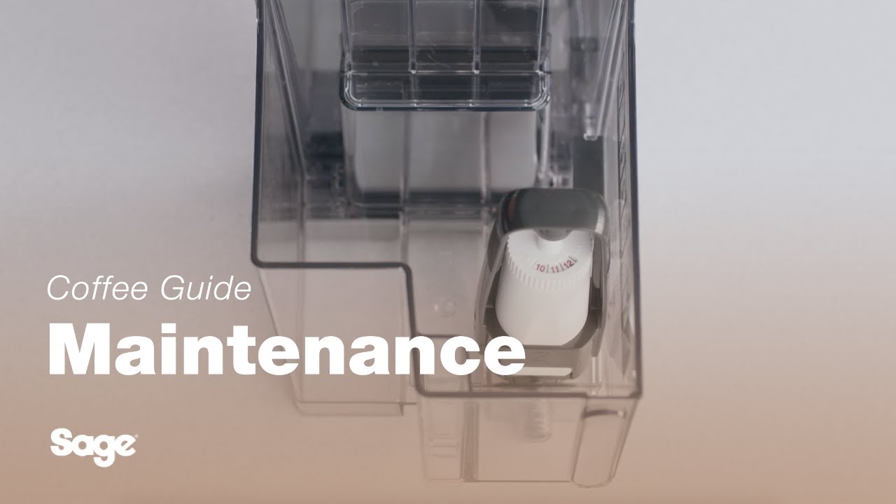 How to replace the water filter