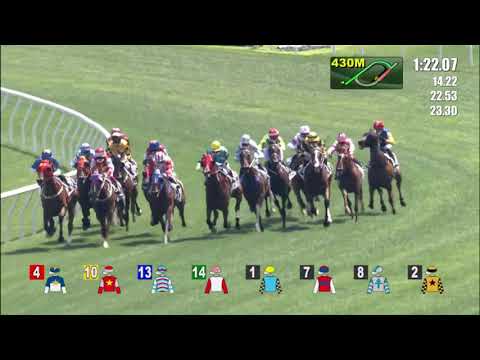 10/4/2022 (569) Daily Charm - Matthew Chadwick