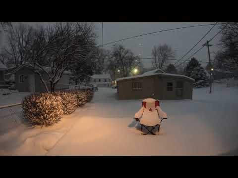 January 25, 2021 Snow Storm Time Lapse