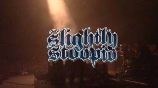 Root Rip - Slightly Stoopid (Live at the Simsbury Meadows)