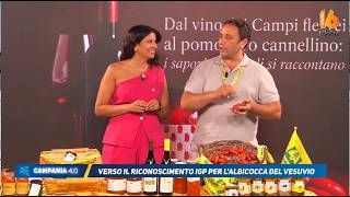 campania 4 0 dal vino dei campi flegrei al pomodoro