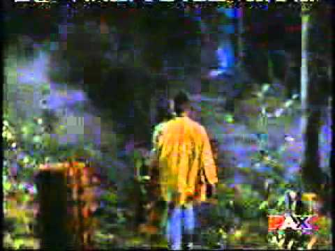 Yannick Bisson  - Brothers by Choice  three.avi