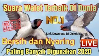 Download lagu Suara Walet Terbaik Di Dunia Ini Buktinya. Call Swallow Birds Song Ruf Die Schwalbe mp3