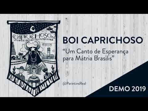 DEMO BOI CAPRICHOSO 2019 - FESTA DE ÍNDIO