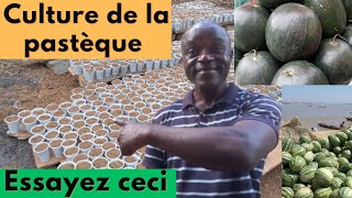 Une autre  technique pour mieux réussir son projet de pastèque