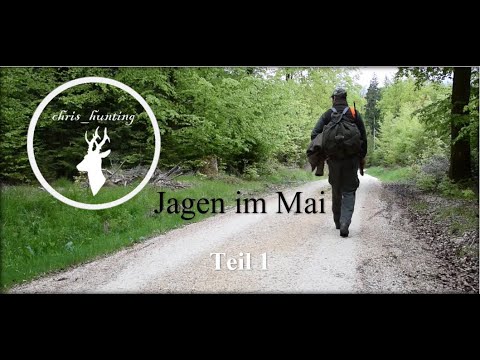 Jagen im Mai - Teil 1 | Jagd auf tagaktive Wildschweine | chris_hunting