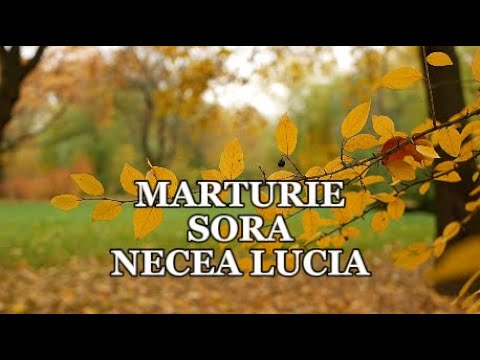Mărturie: Sora Necea Lucia - Salvată de Îngerul Domnului din fântână!