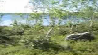 Revangelis by Silentium, Inari Midnight Summer