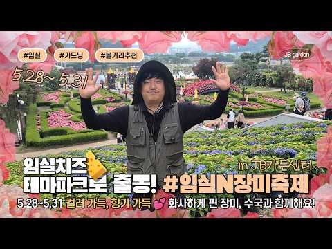 [🌳묘목 무료나눔] 전라북도 최대 장미축제 개막 🌹 임실치즈테마파크에서 JB가든센터와 함께 4일간 진행됩니다. / 애견동반, 가족, 커플 데이트 대환영 🌟