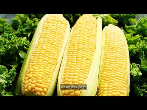 Institucional Prefeitura de Casa Branca - Interios de São Paulo