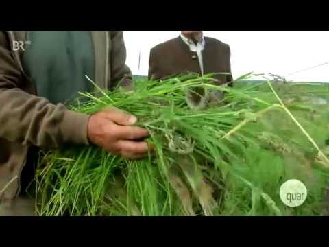 quer mit Christoph Süß flüchtlingsschiffe beschießen 21 05 2015