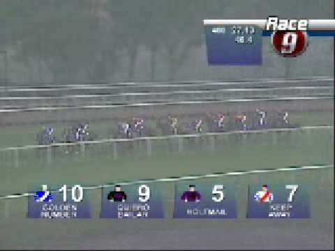 SINGAPORE 4YO MILE 28/02/09 - THE HORNET