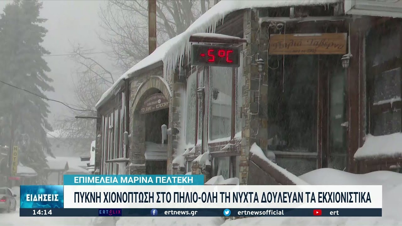 Χιονιοπτώσεις από το “Διομήδη” σε δυτική και κεντρική Μακεδονία | 12/01/2022 | ΕΡΤ