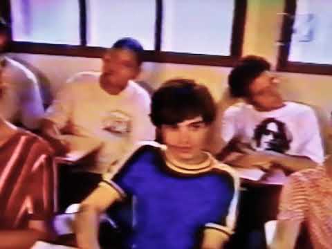Burning School - Holly Tree
