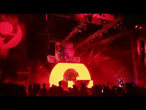 Audiolake festiwal Radków 2023❤🎶