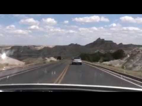 Florida Wild Hogs Adventures P IV