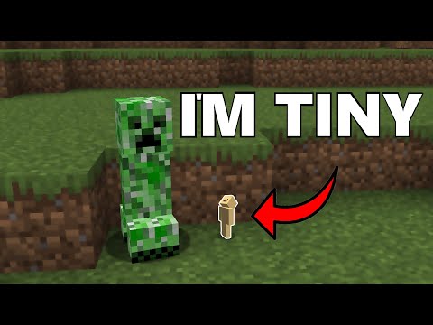 MINECRAFT'S SMALLEST CHALLENGE