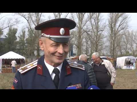 В Курске прошел межрегиональный фестиваль казачьей культуры