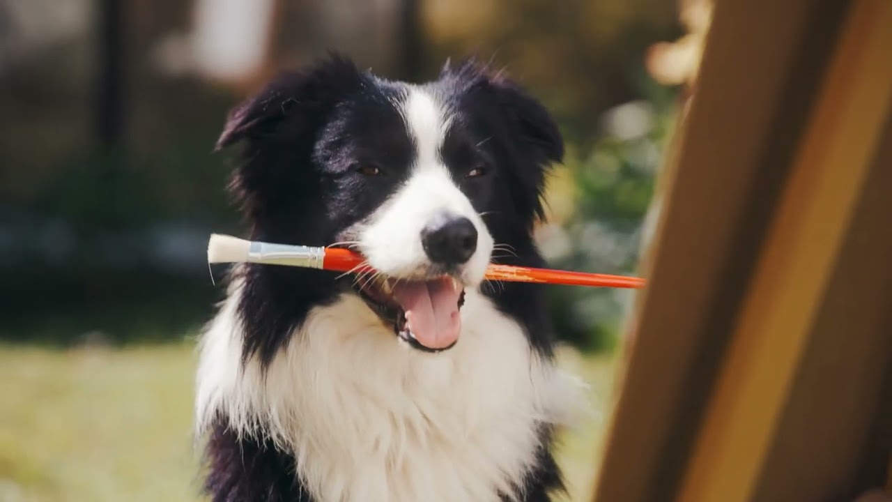 Festival varaždinskih dvorišta 2024. - najava
