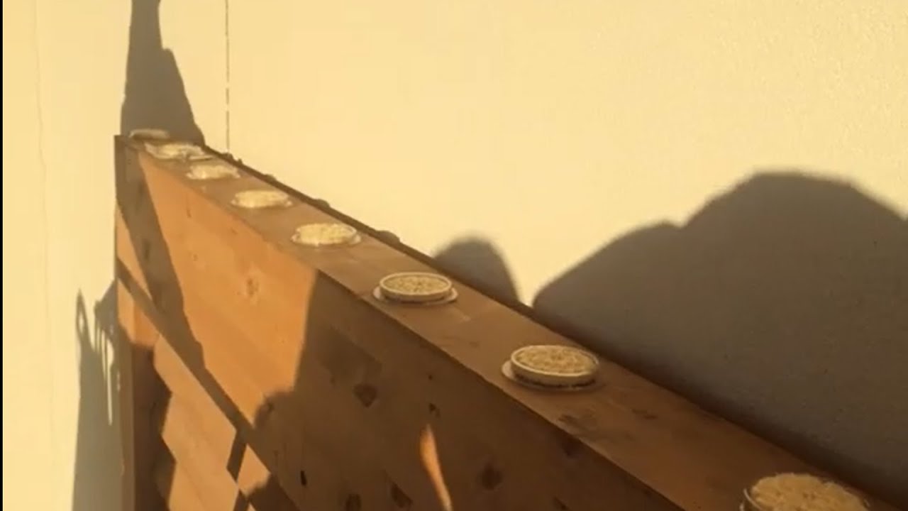 Fugle fri - Fuglebeskyttelse for urbane miljøer - 15 stk skåler