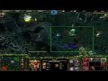 warcraft 3 : dota allstars nessaj 