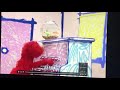 Sesame Street Elmo S World Birds Song